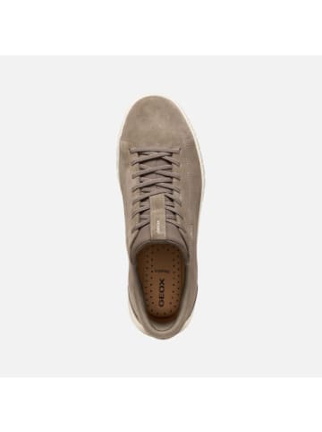 Geox Sneaker U in taupe