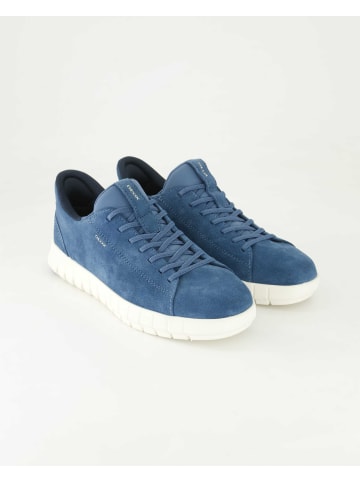 Geox Sneaker low in Blau