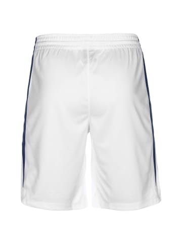 Nike Performance Funktionsshorts Team Stock 20 in weiß / dunkelblau