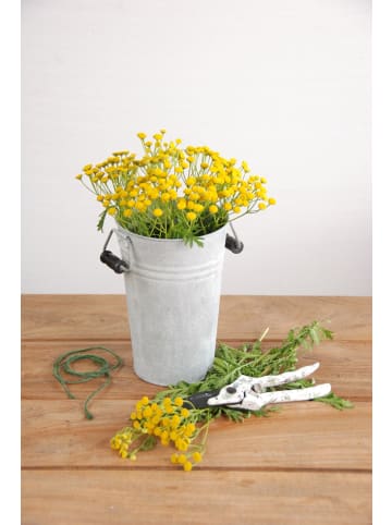Esschert Design 3er-Set: Blumentopf in grau