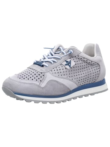 Cetti Sneaker in grau