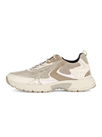 Gabor Sneaker low in multicolour