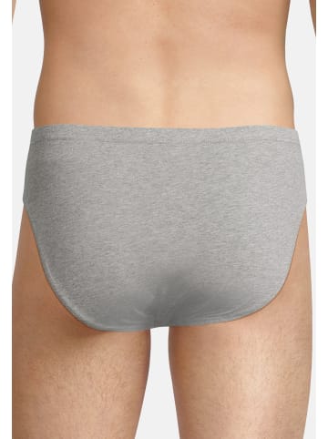 Seidensticker Mini Slip / Unterhose Pur in Mehrfarbig