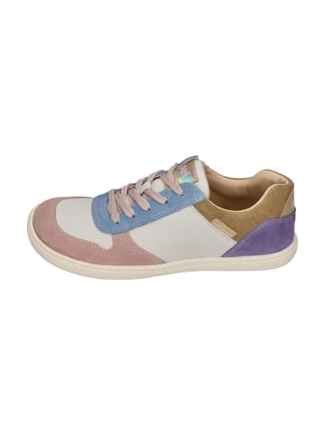KOEL Sneaker Low DATE SUEDE  in bunt