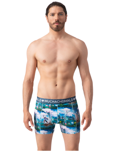 Muchachomalo 2er-Set: Boxershorts in Multicolor/Blue