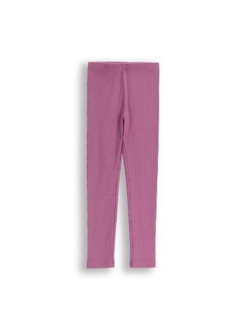 Coccodrillo Gerippte Leggings mit langem Bein in violett