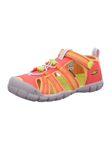 Keen Riemchensandalen SEACAMP II CNX in Cayenne/Evening Prim