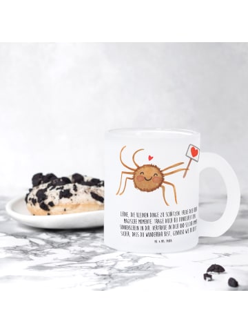 Mr. & Mrs. Panda Glas Spinne Agathe Motivation mit Spruch in Transparent