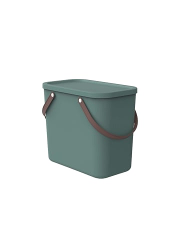 Rotho Albula Aufbewahrungsbox 25l mit Deckel in Mistletoe grün