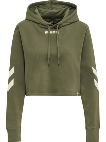 Hummel Hoodie in Grün