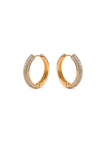 Luxenter Ohrringe Mapris mit 18 Karat Goldfinish – MAPRIS