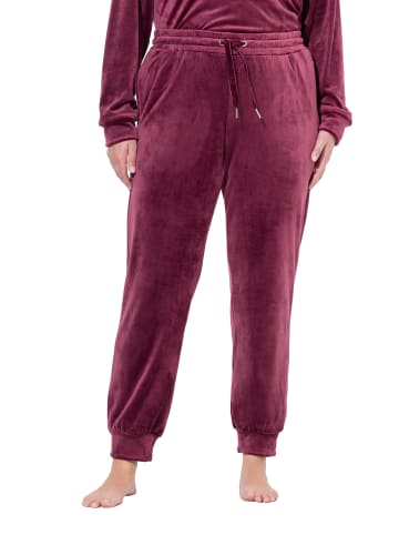 Ulla Popken Loungewear Hose in dunkle beere