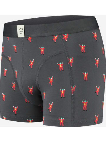 ADAMO Boxershorts für Herren in anthrazit