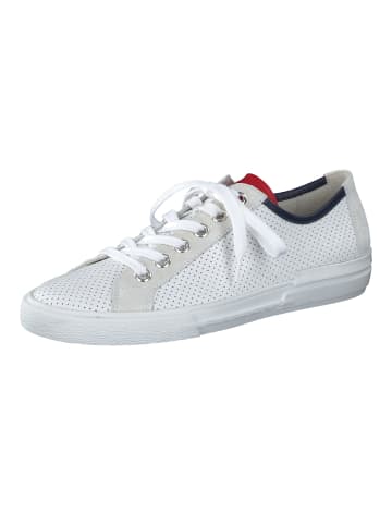 Paul Green Sneaker in Weiss/Rot/Blau