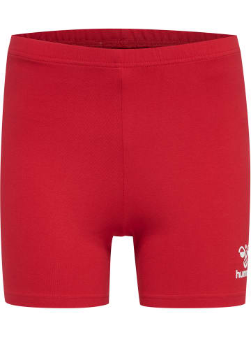 Hummel Hipster-Slips Hmlcore Volley Cotton Hipster Wo in TRUE RED