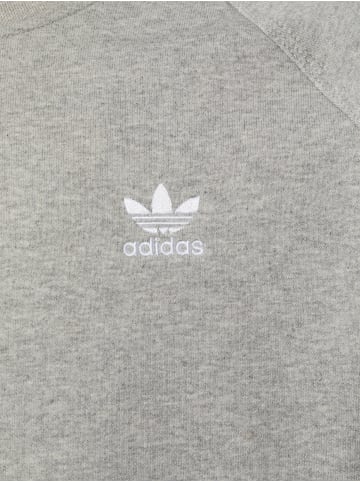 Adidas originals Sweatshirt in hellgrau
