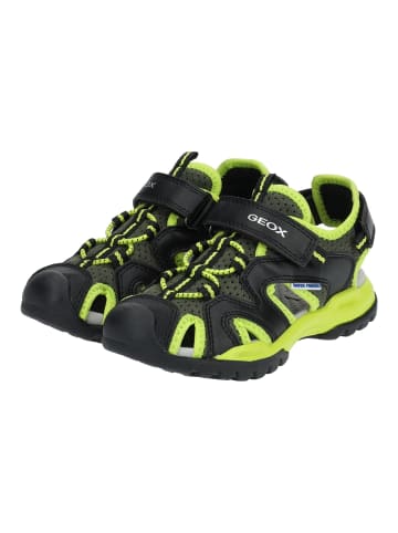 Geox Sandalen in Schwarz/Lime