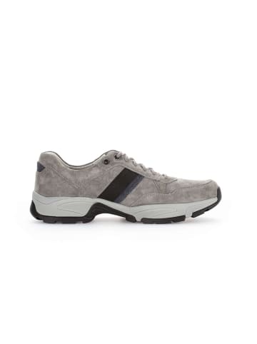 Pius Gabor Sneaker low in grau