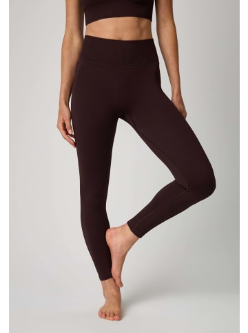 OCEANSAPART Leggings Maya in Dark Oak