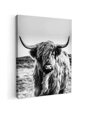 MuchoWow Leinwand bilder Schottisches Hochlandrind (BxH)
