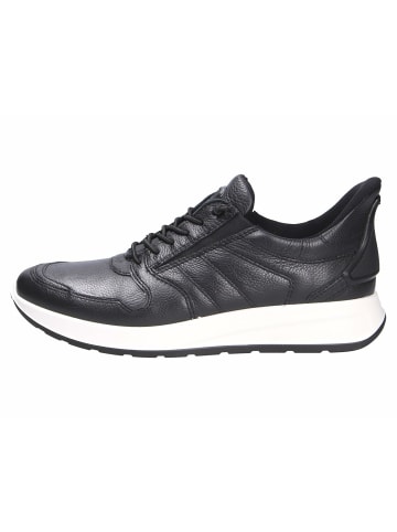 ara Sneaker für Herren in schwarz