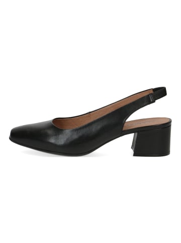 Caprice Pumps in Schwarz