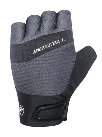 Chiba BioXCell Pro - Radhandschuhe dunkel