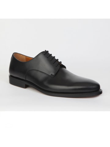 PRIME SHOES Lederschuh ROMA in Box calf black