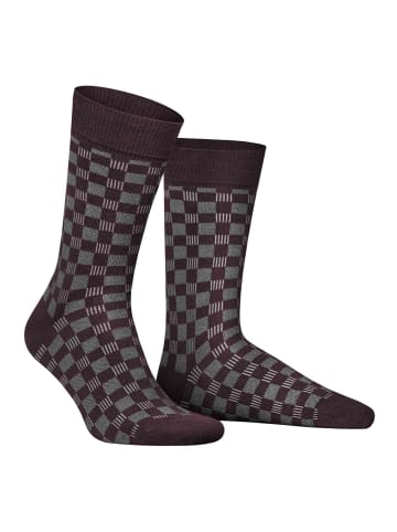 Hudson Socken Board gemustert in blackberry