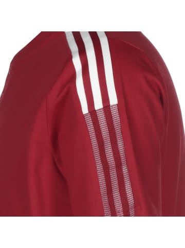 adidas Performance Poloshirt Tiro 21 in rot / weiß