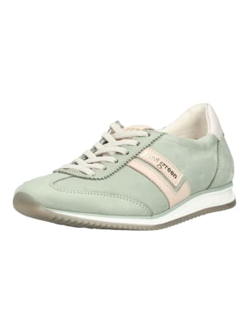 Paul Green Sneaker in Grün