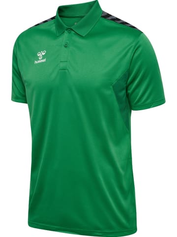 Hummel Polo "Hmlauthentic Functional Polo" in Multicolor