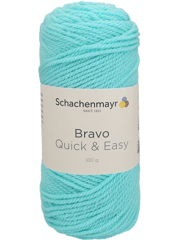 Schachenmayr since 1822 Handstrickgarne Bravo Quick&Easy, 100g in Mintblau