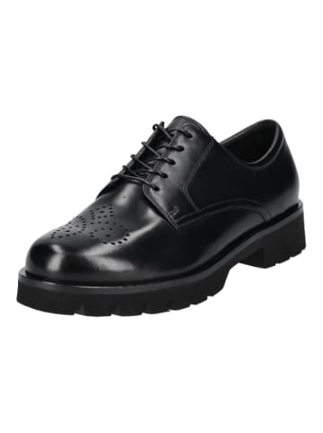 Högl Halbschuhe in Schwarz