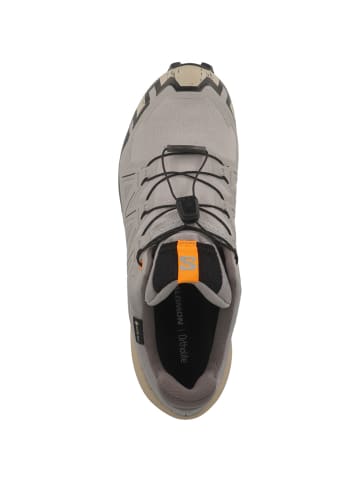 SALOMON Laufschuhe Speedcross 6 GTX in grau
