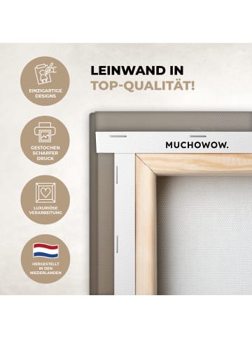 MuchoWow Leinwand bilder Federn (BxH)