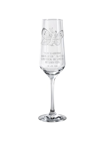 Mr. & Mrs. Panda Sektglas Schmetterling Zitronenfalter mit Spruch in Transparent