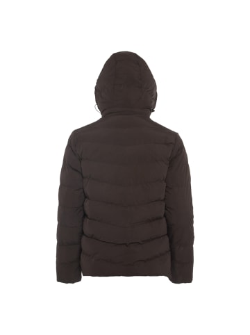 Colina Herren Steppjacke in Espresso