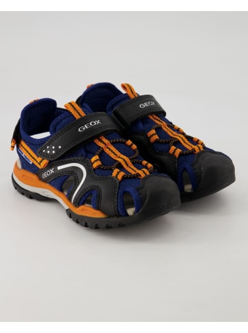 Geox Klettschuhe in Blau