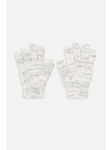 Coccodrillo Handschuhe in grau