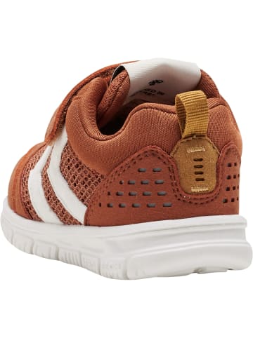 Hummel Sneaker Crosslite Winter Infant in SIERRA