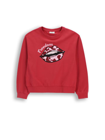 Coccodrillo Trainingsjacke in rosa