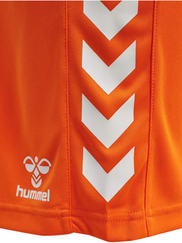 Hummel Hummel Kurze Hose Hmlcore Multisport Kinder Atmungsaktiv Schnelltrocknend in ORANGE TIGER