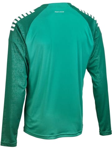 Select Trikot "Trikot Langarm Spain V25" in Grün