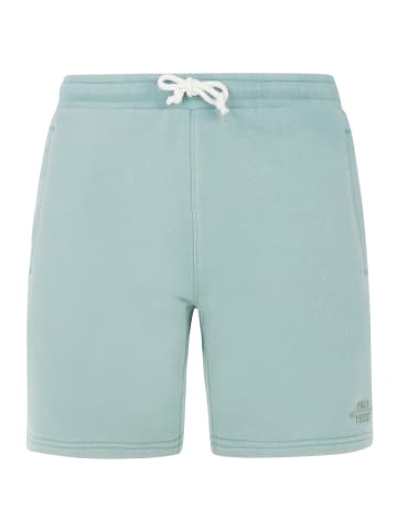 Protest " PRTTedor in Arcticgreen