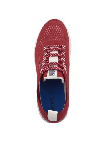 Geox Sneaker low D Spherica A in rot