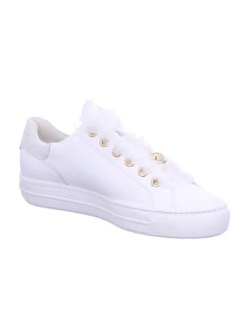 Paul Green Schnürschuh in BEIGE