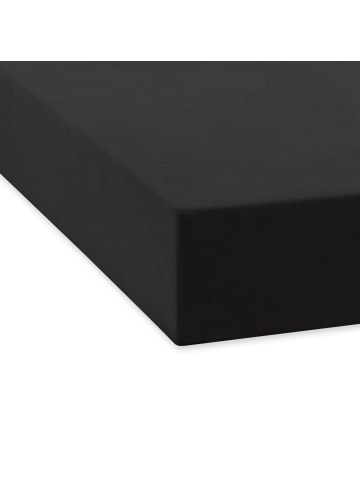 Traumschlaf Spannbettlaken Feinbiber Boxspring in schwarz