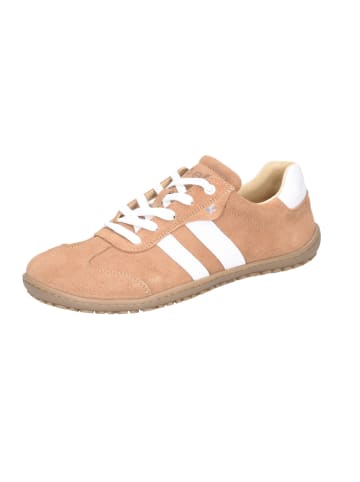 KOEL Schnürschuh in beige