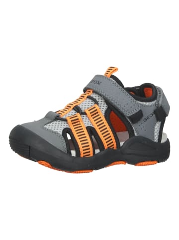 Geox Sandalen in Grau/Orange